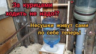 Автономный курятник без участия человека. За курицами ходить не надо!!!