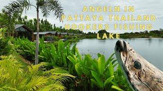 Angeln im Paradies: Hookers Fishing Lake Pattaya – Große Fische und exotische Arten entdecken!  4k