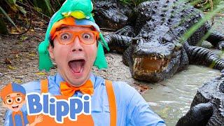 Blippi's Spooky Alligator Trick-or-Treat Adventure! ️ | Fun Halloween Educational Videos for Kids