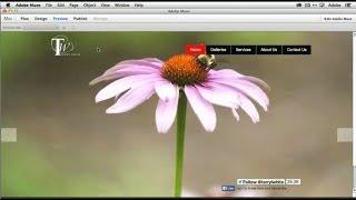 How To Get Started With Adobe Muse CC - 10 Things Beginners Want To Know How To Do