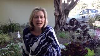 Why is SLRN.fm important? Karen Fry, Founder of 'BE Love' tells us...