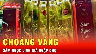 Thực hư rượu ngâm sâm Ngọc Linh: Sự thật gây choáng | Tin tức 24h