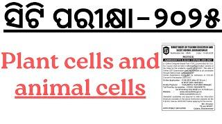 Plant cells and animal cells in 30 Minutes   Mind Map Series for CT 2025 I BED 2025 I OTET JT I