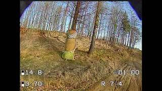 Some tress - Fpv crazy #1