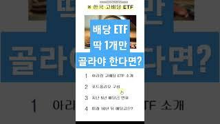 고배당 ETF 딱 1개만 골라야 한다면?