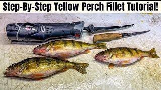 3 Ways To Fillet Yellow Perch That EVERY Angler Should Know!