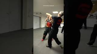 ‍️Nur 1 % der Kämpfer kennen diese 4 Reflexe – gehörst du dazu? #selbstverteidigung #wingtsun