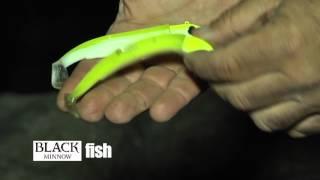 Italian Fishing TV - Mondo Artificiale 03 - II° serie - Spinning e dintorni alle isole Pontine