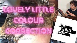 Toning Hair | Colour Correction | Blonde Highlights | Lauren Francis