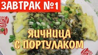 ЧУДО ЗАВТРАК С ПОРТУЛАКОМ! ТАКУЮ ЯИЧНИЦУ ВЫ ЕЩЕ НЕ ПРОБОВАЛИ!!!