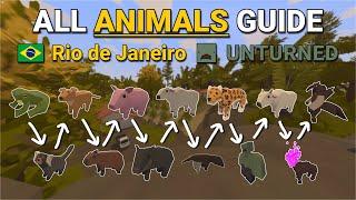 Complete Guide to all 13 Rio de Janeiro Animals (Unturned)