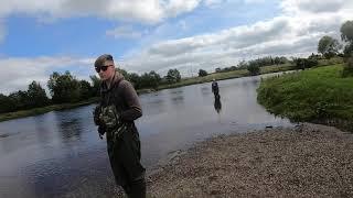 22lb Salmon on the river forth Stirling July 2020