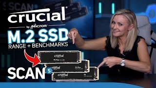 Crucial M.2 NVMe PCIe SSD (P3, P3 Plus & P5 Plus) Benchmarks!