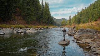 ALMOST Every Cast We Caught Trout! (Fly Fishing for Trout)