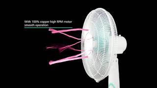 Electrical fan video