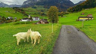 Life in Switzerland countryside - Relaxing walk in the most beautiful Swiss villages