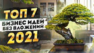 ТОП 7 Бизнес Идеи Без Вложений 2021. Бизнес с нуля. Бизнес без вложений. Бизнес 2021.