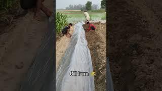 #farminglife #treandingshort #farming #sidhumoosewalanewsong #