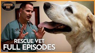The World Of Being A Vet | Rescue Vet | FULL EPISODES | Season 1 | Shadow Pine Studios
