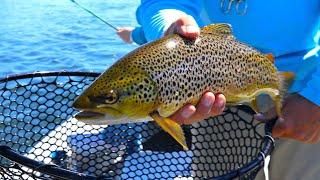 Top 5 Spring Trout Fishing Tips