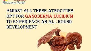 Now Get Benefits Of Ganoderma Lucidium  With Benefits Plus