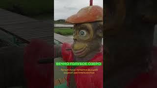 Секрет чистоты водоёма — удивительные рыбы!