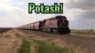 AMAZING K5HL! CP 8812 East (CP 602) - Near Indus, AB (Feat. busrailfan and Calgary Railfanning)