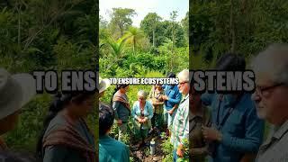 Careers in Sustainable Mining Practices