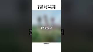 빌려온 고양이 추억의 비슷한 안무 모아보기『아일릿』