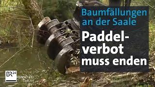 Baumfällungen an der Saale: Ende des Paddelverbots in Sicht