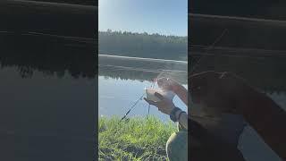 Ловите атмосферу спокойствия #рыбалка #fishing
