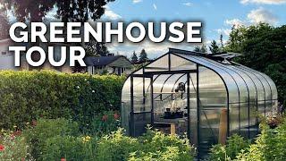 Backyard Greenhouse Tour | Placement, Setup, & Gear!