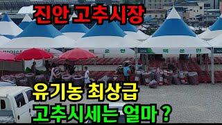 산에서 재배한 유기농 고추라고? 이렇게 빛깔 좋은 고추 처음이야!