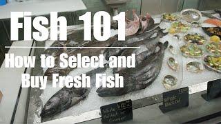 Fish 101 // How to Choose and Buy Fresh Seafood from your Local Fish Market