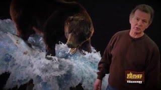 Promo - Frank Newmyer Bear Splash Scene