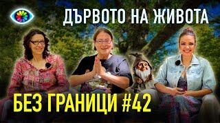 БЕЗ ГРАНИЦИ с Невена Цонева #42 / Дървото на живота