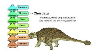 Dinosaur Taxonomy - Biological Classification Explained In 3 Minutes