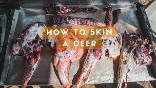 How to Skin and Clean a Deer | Cleaning a Texas Sika Doe