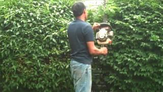 Sculpting & Trimming Shrubs w/ Chris Orser Landscaping