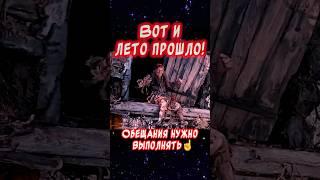 Вот и лето прошло а обещания нужно выполнять️Весёлая открытка для отличного настроения