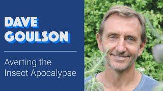 Dave Goulson: Averting the Insect Apocalypse  | Conservation Conversations
