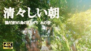 清々しい朝：鳥のさえずり、水の音、陽だまり / 活力向上、リラクゼーション【自然音,ASMR,4K,relaxing nature sounds】