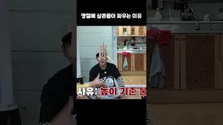명절에 삼촌들이 싸우는 이유