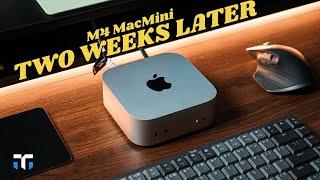 Base M4 MacMini Two Weeks Later: Powerful, But For Who?