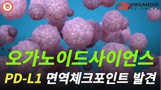 [오가노이드사이언스 분석] 주가는 이제부터 새로운 시작입니다. #오가노이드사이언스