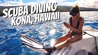 Scuba Diving Hawaii Big Island | Where to Scuba Dive in Hawaii | Jacks Diving Locker, Kona