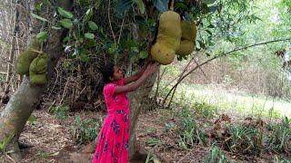 i ate jackfruit, testy fruit, benefit of eating ripe jackfruit, sambari tribe vlogs.