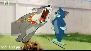 tom and jerry