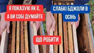 Бджоли яких потрібно об'єднати. Варто це робити чи ні? Коли бувають слабкі, а коли сильні? Зима