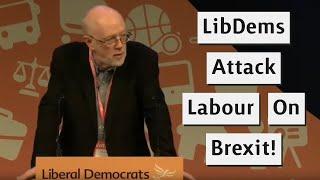 LibDems Attack Labour Over EU Single Market Rejection!